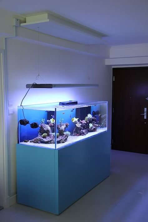 Modern Reef Aquariums - Page 13 - Reef Central Online Community Saltwater Aquarium Setup, Marine Fish Tanks, Coral Reef Aquarium, Fish Tank Stand, Marine Tank, Saltwater Fish Tanks, Fish Tank Design, Aquarium Setup, Aquarium Stand