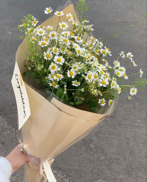 Mini Daisy Bouquet, Daisy Bouquet Aesthetic, Flower Bucket Bouquets, Wrap Flowers In Paper, Coffee Gadgets, Daisy Bouquet, Boquette Flowers, Gift Bouquet, Nothing But Flowers