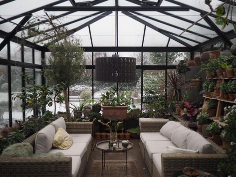 greenhouse with sitting area Cozy Sitting Area, Best Greenhouse, Lots Of Plants, Greenhouse Interiors, Small Greenhouse, Greenhouse Plans, Landscape Designs, Sitting Area, Glass House