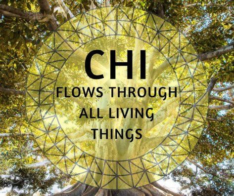 Soul Alchemy, Tree Energy, Witchcraft Art, Chi Flow, Energy Aura, Energy Forms, Chi Gong, Chi Energy, Tai Chi Qigong