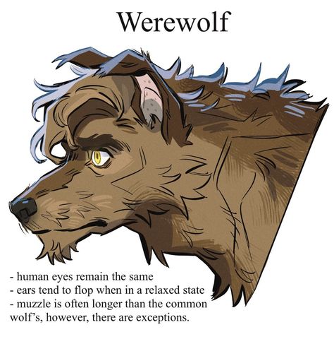 Werewolf Aesthetic, Werewolf Art, Canine Art, Creature Drawings, Mythical Creatures Art, Creature Concept Art, Wolf Art, Arte Fantasy, I Forgot