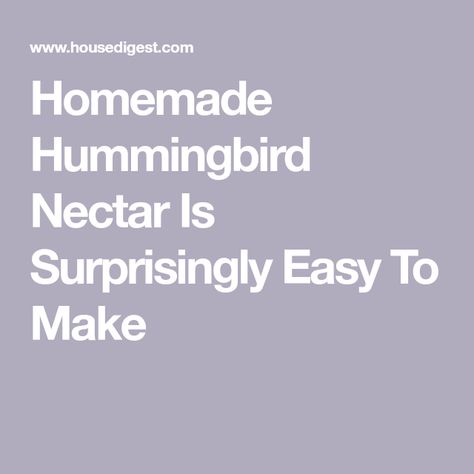 Homemade Hummingbird Nectar Is Surprisingly Easy To Make Recipe For Hummingbird Nectar, Homemade Hummingbird Nectar, Homemade Hummingbird Food, Grilled Pork Tenderloin Recipes, Hummingbird Nectar Recipe, Hummingbird Food, Hummingbird Nectar, High Metabolism, Easy Peasy Recipes