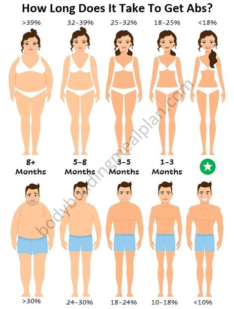 How Long To Get 4 Pack Abs Abdominal Muscles Anatomy, Body Fat Percentage Women, Hex Bar Deadlift, Body Fat Percentage Calculator, Get Abs Fast, Men Vs Women, Get Shredded, Abs Women, Body Fat Percentage