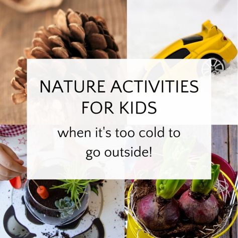 Indoor Nature Activities Preschool, Indoor Nature Activities, Indoor Nature Activities For Kids, Winter Nature Activities, Nature Activities Preschool, Quiet Activities For Kids, Nature Walk Activities, Nature Activities For Kids, Activity Stations