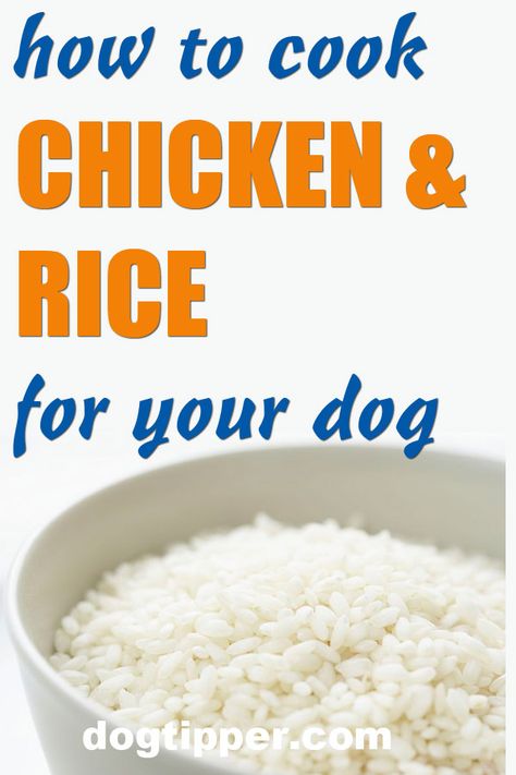 Chicken Rice For Dogs, Dog Chicken And Rice, Chicken And Rice For Dogs How To Make, Chicken For Dogs Food Recipes, Boiled Chicken And Rice For Dogs, Chicken And Rice Recipes For Dogs, Boiled Chicken For Dogs, Chicken Rice Dog Food Recipe, Cooking For Your Dog