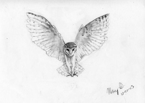 Owl Anatomy, Snow Owl Tattoo, Snowy Owl Tattoo, White Owl Tattoo, Barn Owl Tattoo, Realistic Owl Tattoo, Owl Tat, Owl Tattoo Drawings, Owl Sketch