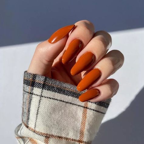 17 Burnt Orange Nail Designs That Are Fitting for Fall Burnt Orange Almond Shaped Nails, Burnt Orange Swirl Nails, Fall Nails 2024 Burnt Orange, Burnt Orange Sparkle Nails, Burnt Orange Shimmer Nails, Orange Nail Art, Sheer Polish, Orange Acrylic Nails, Orange Nail Polish