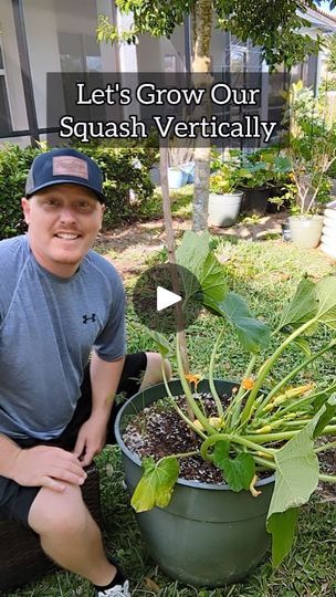 Grow Squash Vertically, Garden Insect Repellent, Growing Zucchini Vertically, Garden Squash, Growing Squash, Pruning Plants, Growing Zucchini, Tips For Growing Tomatoes, Zucchini Plants