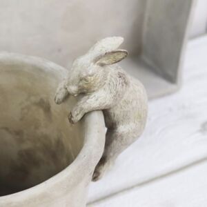 Search results for rabbits and planters | notonthehighstreet.com Clay Rabbits, Bunny Pot, Yard Renovation, Bunny Garden, Hill Garden, Rabbit Garden, Pot Hanger, Rabbit Decor, Flower Boutique