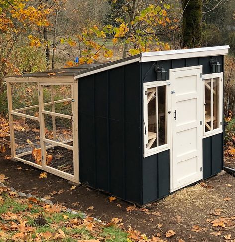 Chicken Coop Covered Run, Two Chicken Coops One Run, Chicken Coop With Slanted Roof, Chicken Coop With Covered Run, Chicken Coop In The Woods, Chicken Coop 6 Chickens, Small Walk In Chicken Coop, Chicken Coop Colors Scheme, Chicken Coop Garden Combo