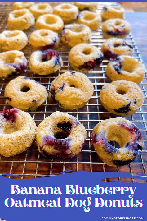 Dessert For Dogs, Blueberry Banana Dog Treats, Blueberry Dog Treats Homemade, Dog Breakfast Recipes, Dog Donuts Recipe, Dog Desserts, Costa Rican Recipes, Rose Syrup Recipe, Dog Breakfast