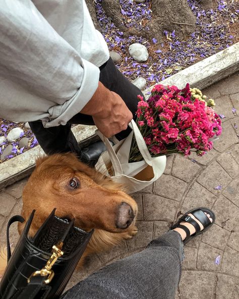 serg & tana on Instagram Condesa mexico city travel roma norte aesthetic parisian vibe golden retriever couples fashion Couple With Golden Retriever Aesthetic, Happy Dog Aesthetic, Golden Retriever Mom Aesthetic, 2 Dogs Aesthetic, Couple Dog Aesthetic, Golden Retriever Girl Aesthetic, Dog Mum Aesthetic, Dog And Cat Aesthetic, Couple With Golden Retriever