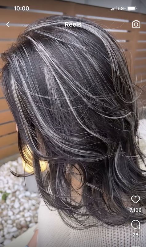 Partial Gray Highlights On Dark Hair, Black Hair With Silver Highlights Long, Blending White Hair Roots, White Hair With Black Highlights, Dark Hair With Platinum Highlights, Silver Hair Highlights Going Gray, Ash Silver Balayage, Grey Highlights On Dark Hair, Hoco Hairstyles Updo