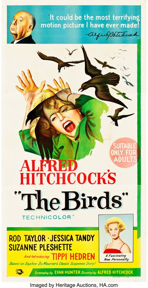 Alfred Hitchcock The Birds, Jessica Tandy, Suzanne Pleshette, Tippi Hedren, Old Movie Poster, Animated Movie Posters, Alfred Hitchcock Movies, Siouxsie Sioux, Joe Strummer