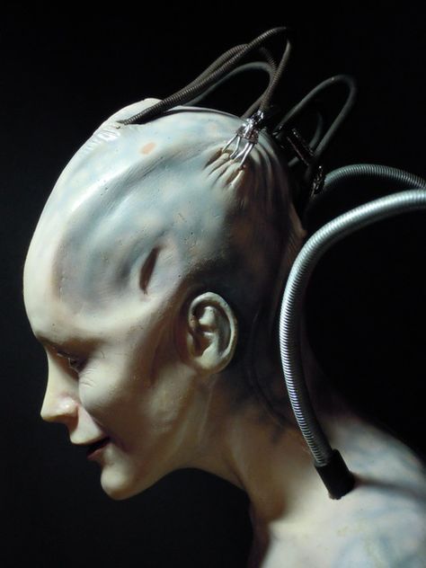 Sci Fi Prosthetics, Vorik Star Trek, Borg Queen, Sci Fi Headgear, Analog Sci Fi, Borg Cube Star Trek, Borg Queen Star Trek, Rebecca Romijn Star Trek, Star Trek Borg