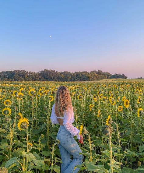 Fields Photoshoot, Pretty Senior Pictures, Sunflower Field Pictures, White And Denim, Backless Outfit, Creative Senior Pictures, Sunflower Photography, Sunflower Photo, Beautiful Photoshoot Ideas