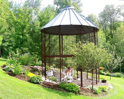 Silo Gazebo, Peacock Pen, Bin Gazebo, Gazebo Diy, Parrot Cages, Grain Bins, Corn Crib, Outdoor Cabana, Relaxing Backyard