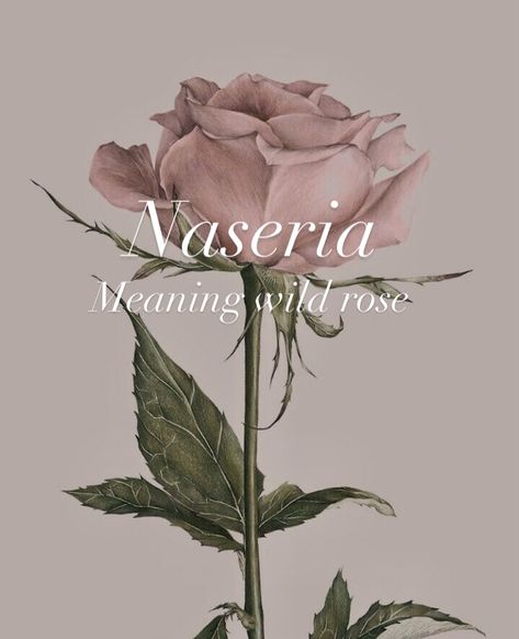 Names That Mean Rose, Names That Mean Flower, Fantasy Last Names With Meaning, Kingdom Names With Meanings, Flower Names And Meanings, Female Names Aesthetic, Names Meaning Strength, Fantasy Names Feminine, Orc Names