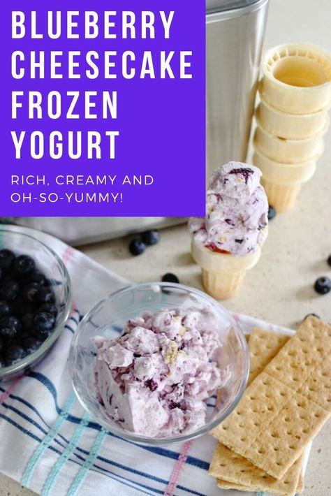 Blueberry Frozen Yogurt Recipe, Frozen Yogurt Flavors, Cheesecake Frozen Yogurt Recipe, Blueberry Frozen Yogurt, Letter Layout, Frozen Deserts, Frozen Yogurt Blueberries, National Ice Cream Day, Frozen Yogurt Recipes