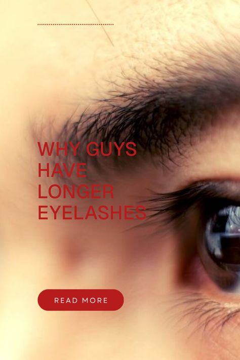 Ever wondered why those men have those luscious, long eyelashes? Turns out, it's not just luck! Longer eyelashes enhance the appearance of eyes by making them look bright and expressive. This aesthetic feature can even mimic the effect of wearing makeup! Explore the reasons behind this phenomenon, with surprising facts about eyelashes Bueaty Tips, Grow Lashes, How To Grow Eyelashes, Long Eyelashes, Lash Growth, Eyelash Lift, Eyelash Growth Serum, Thicker Eyelashes, Hair Locks