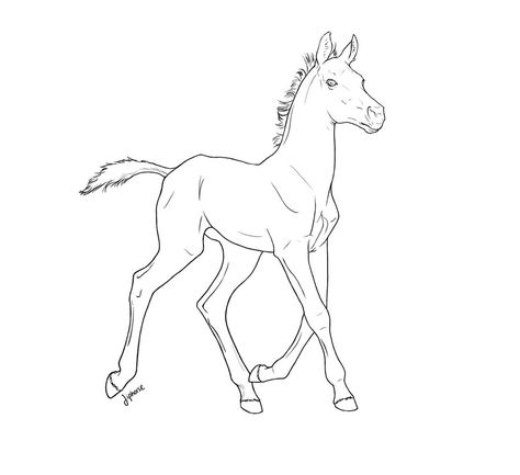 Free foal lineart 2 by jiphorse.deviantart.com on @DeviantArt Full Body Horse Drawing, Cartoon Horse Sketch, Horse Lineart, Running Horse Outline, Horse Running Sketch, Rearing Horse Sketch, Horse Outline, Horse Foal, Horse Art Drawing