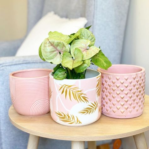 Pink Pot Painting Ideas, Pink Flower Pots, Gift Ideas For Plant Lovers, Large Pink Pots, Pink Planter Pots, Nail Technician Room, Pink Flower Pot, Pressed Flower Candles, Kitchen Designs Ideas