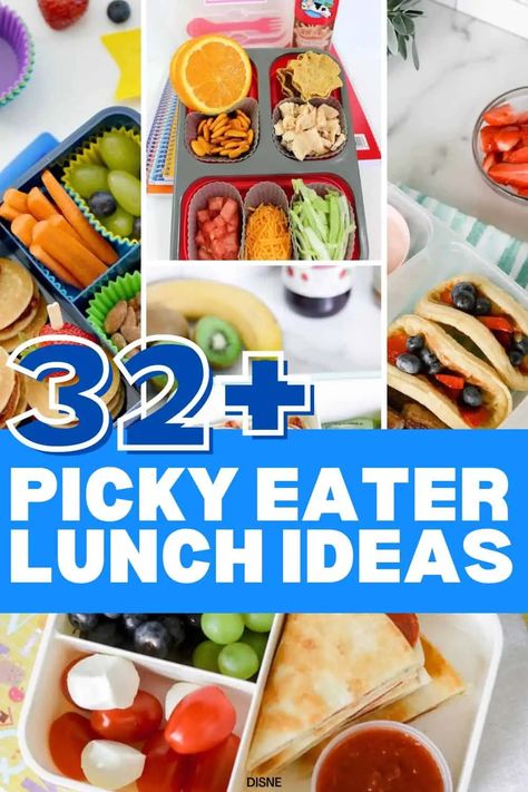 32 School Lunch Ideas for Picky Eaters - Making Frugal FUN Picky Preschool Lunches, School Lunch For Picky Eaters, Picky Kids Lunch Ideas For School, Sandwich School Lunch Ideas, School Lunches For Picky Eaters, Picky Eater Lunch Box Ideas, Ideas For School Lunches, School Lunches For Kids, Lunch Ideas For Picky Eaters