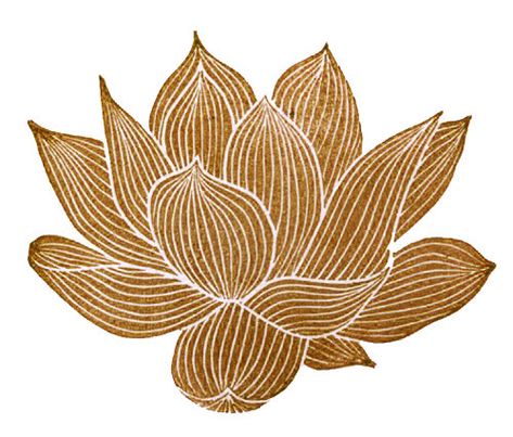 Red Lotus, Lotus Flower, Lotus, Red, White