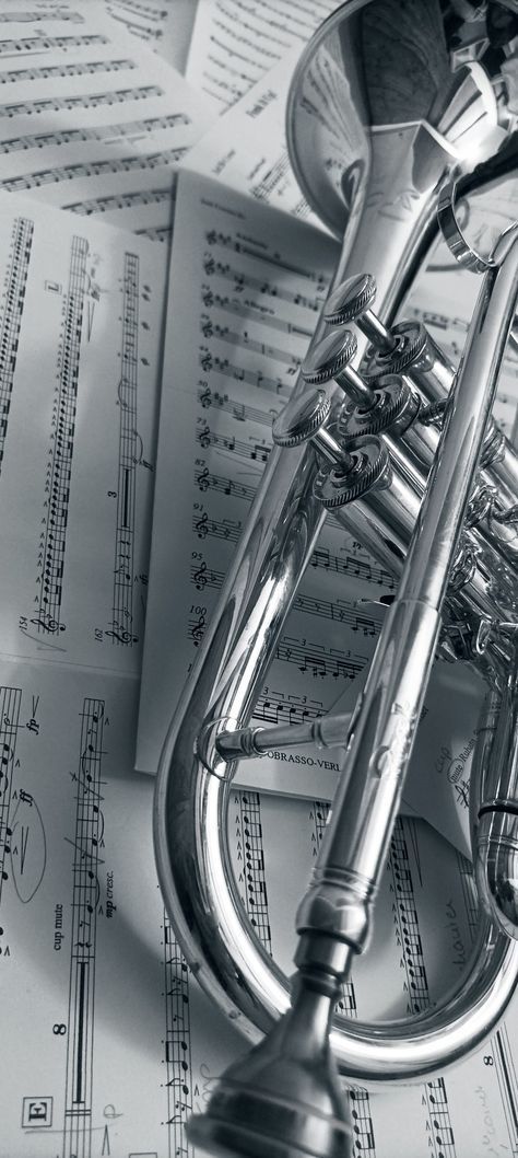 Music Aesthetic Instruments, Trumpets Aesthetic, Trumpet Aesthetic Wallpaper, Brass Band Aesthetic, Band Instruments Aesthetic, Aesthetic Trumpet, Tuba Aesthetic, Musical Instruments Aesthetic, Trumpet Photography