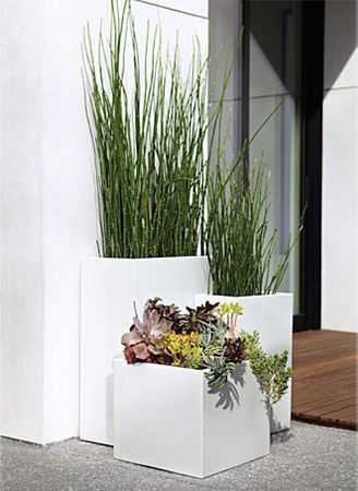 Steel rectangular planters. like the plants too. Front Entrance Decor, Modern Planters Outdoor, Rectangle Planters, Rectangular Planters, Coastal Gardens, Square Planters, White Planters, Office Plants, Modern Outdoor Furniture