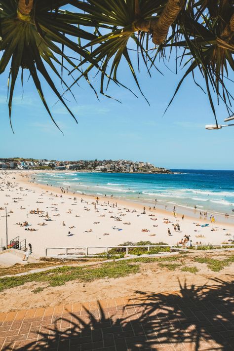 Sydney Australia Bondi Beach, Bondi Aesthetic, Brisbane Australia Aesthetic, Beach Australia Aesthetic, Bondi Beach Aesthetic, Australia Beach Aesthetic, Australia Beach House, Australia Lifestyle, Australia Life