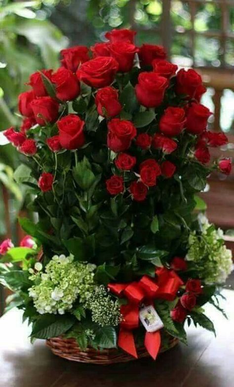 Happy Birthday Flowers Wishes, Rose Flower Arrangements, Birthday Wishes Flowers, Rose Flower Wallpaper, Good Morning Beautiful Flowers, Beautiful Red Roses, Valentines Flowers, Fresh Flowers Arrangements, Beautiful Flowers Wallpapers