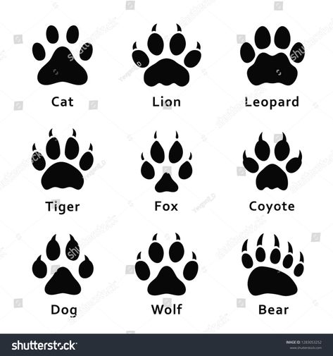 Animals Footprints, Kuda Nil, Bird Footprint, Wolf Paw Print, Names Cat, Paw Drawing, Animal Footprints, Wolf Paw, Food Cat