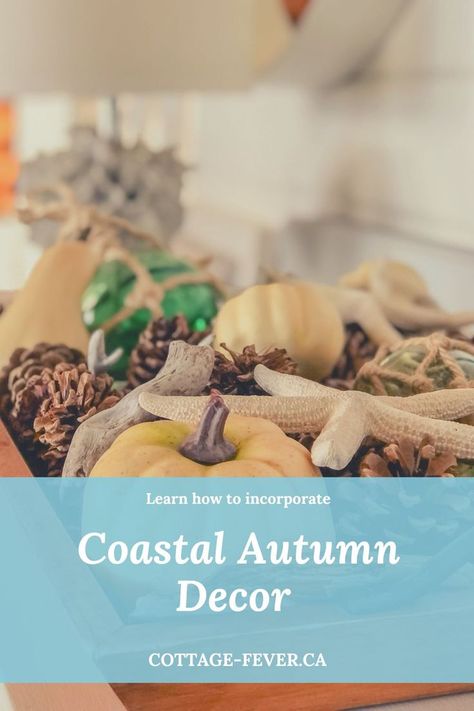 Using items that can be foraged on the beach, in your garden and in the forest, learn how to incorporate them into beautiful Coastal Autumn Decor throughout your home. Coastal Fall Decorations, Coastal Fall Decor Ideas Living Room, Fall Beach House Decor, Coastal Fall Porch Decor, Coastal Fall Home Decor, Coastal Fall Decor Ideas For The Porch, Beachy Fall Decor Ideas, Florida Fall Decor, Coastal Autumn Decor