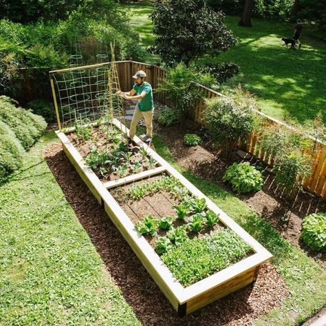 50 Raised Garden Bed DIY Ideas - Home Soils Above Ground Garden Ideas, Raised Garden Bed Diy, Bed Diy Ideas, Garden Bed Diy, Landscape Design Diy, Above Ground Garden, Ground Garden, Wood Garden, Bed Diy