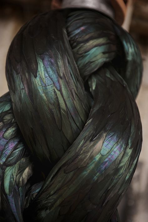 British sculptor Kate MccGwire (previously) creates uncanny organic sculptures from layers of bird feathers. The objects she creates are so precisely assembled that they seem to form hybrid creatures with tentacles or limbs that twist and curve into unexpected forms.  MccGwire grew up on the Norfo Kate Mccgwire, Organic Sculpture, Marcel Duchamp, Colossal Art, Living Things, Sculpture Installation, British Artist, Land Art, Abstract Sculpture