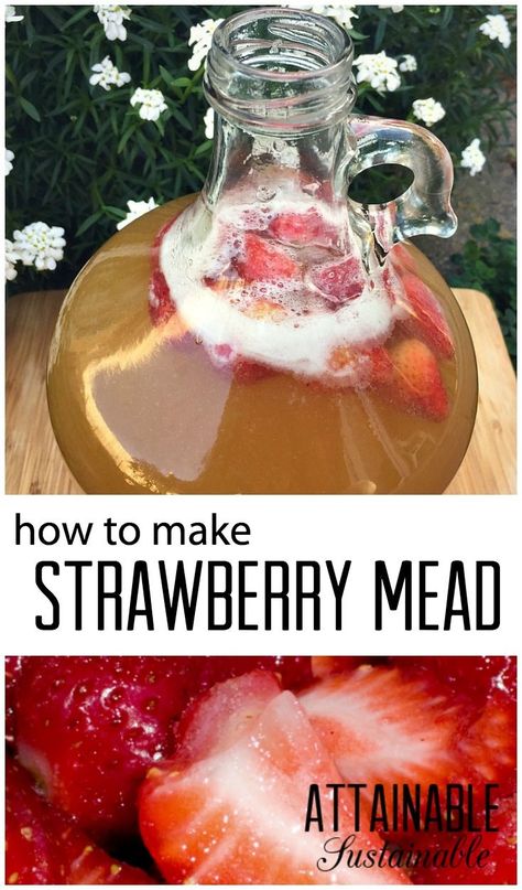 In its simplest form, mead is a fermented alcohol drink made with honey and water, also sometimes called "honey wine." Here's how to make a strawberry mead (or melomel) that's easy enough for beginners like me! Homemade Wine Recipes, Mead Wine, How To Make Mead, Mead Recipe, Homemade Alcohol, Honey Wine, Homemade Liquor, Nutrition Sportive, Homemade Wine