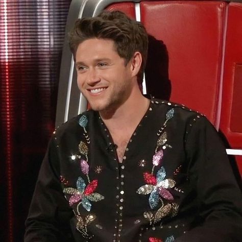 Niall Horan Baby, Irish Accent, Voice Coach, Niall And Harry, Hello Lover, Irish Princess, Irish Boys, One Direction Pictures, James Horan