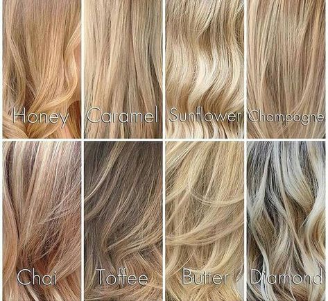 Different Shades of Blondes                                                                                                                                                                                 More Champagne Hair Color, Shades Of Blonde Hair, Types Of Blondes, Champagne Blond, Blonde Hair Color Chart, Different Shades Of Blonde, Champagne Blonde Hair, Champagne Hair, Ash Blonde Hair Colour