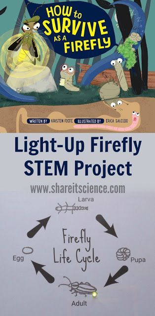 K4 Crafts, Cycle For Kids, Space Activities For Kids, Life Science Activities, Paper Circuits, Math Activities For Kids, Space Activities, Stem Activity, Science Stem