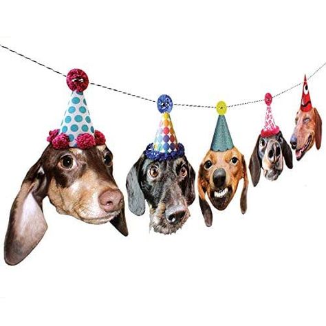 Dog Parties, Dog Birthday Ideas, Dogs Birthday, Dachshund Dogs, Birthday Garland, Dog Birthday Cake, Dog Business, Pet Supplies & Accessories, Pet Blog