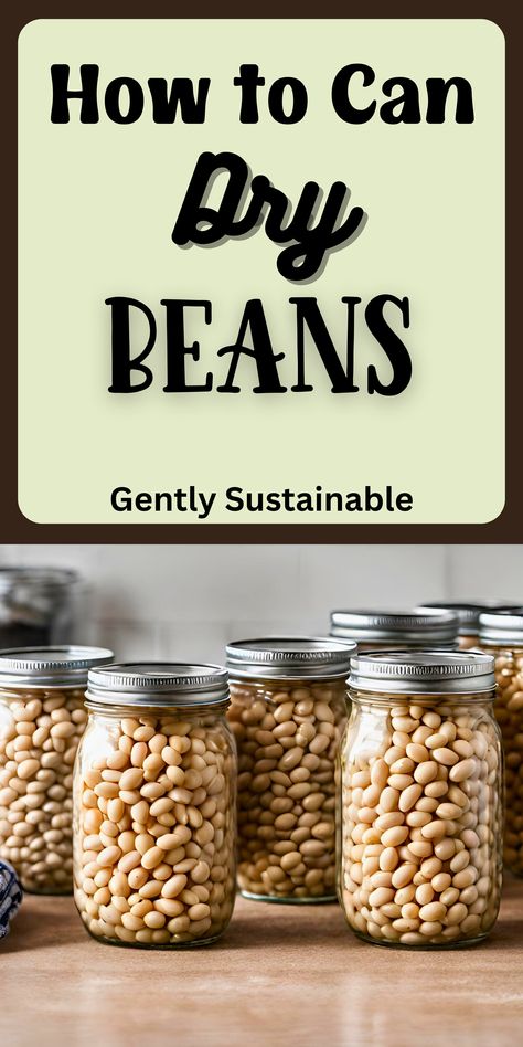 If you're looking for ways to reduce your grocery bill and still feed your family whole food, beans are a great choice.  Canning your own dry beans will save you even more money!  Let me teach you how to can dry beans! #canning #canbeans #howtopressurecan #howtocan #preservingfood #preppers #foodpantry How To Pressure Can Dry Beans, Pressure Canning Dried Beans, How To Store Dry Beans Long Term, How To Can Dried Beans, How To Dry Beans From Garden, Dry Bean Storage, How To Can Dry Beans, How To Can Vegetables, Canning Dry Beans Without Soaking