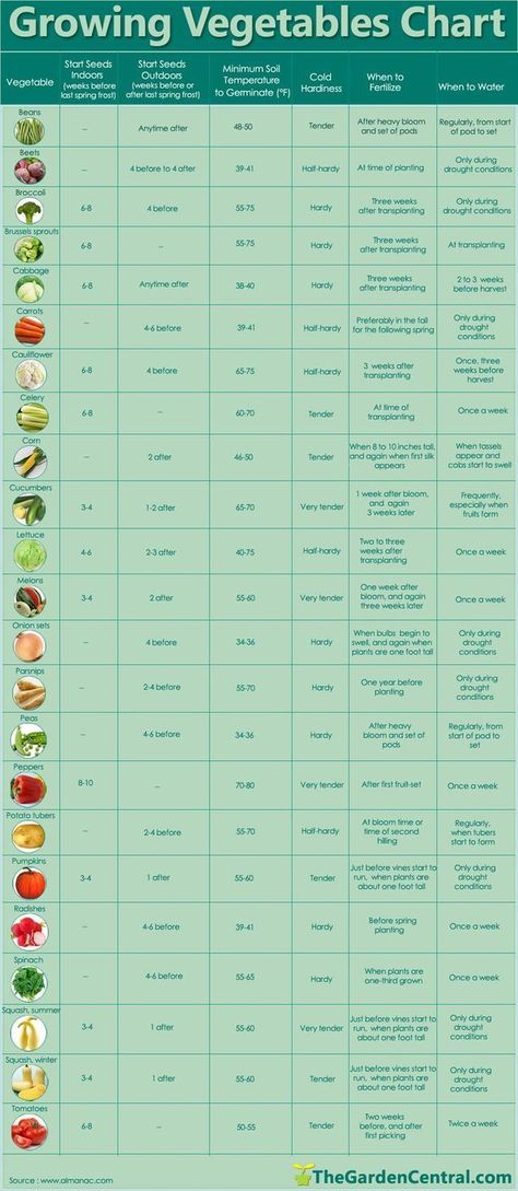 There is nothing quite like the delight of growing your own vegetables. Growing your own vegetables organically ensures healthful produce and saves you the high prices of organically grown produce at Gardening Chart, Vegetable Chart, Growing Veggies, Garden Veggies, Have Inspiration, Hydroponic Gardening, Flowers Garden, Veggie Garden, Growing Food