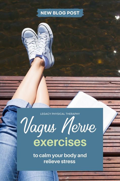 Vagas Nerve Exercises, Vagal Nerve Exercises, Vagal Tone Exercises, Vagal Tone, Vagal Toning Exercises, Vagus Nerve Exercise, Pelvic Floor Exercises Post Baby, Pelvic Floor Exercises Pregnancy, Pelvic Floor Dysfunction Exercises