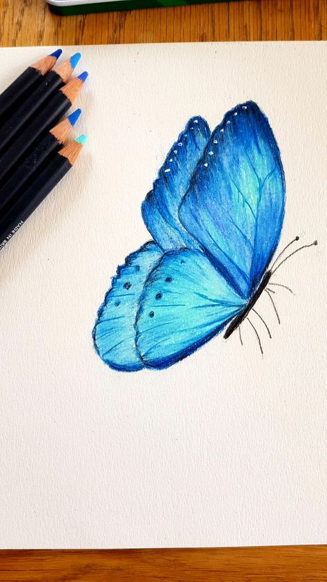 Butterfly Colorful Drawing, Colourful Butterfly Drawing, Butterfly Drawing Ideas, Colored Pencil Artwork Ideas, Butterfly Art Drawing, Soft Pastels Drawing, Oil Pastel Drawings Easy, Pencil Drawings Of Girls, Color Pencil Sketch