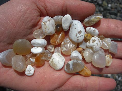 hunting for agates on the beach Beach Agates, Agate Hunting, Michigan Rocks, Rock Collecting, Rock Tumbling, Rock Tumbler, Rock Hunting, Lincoln County, Beach Finds