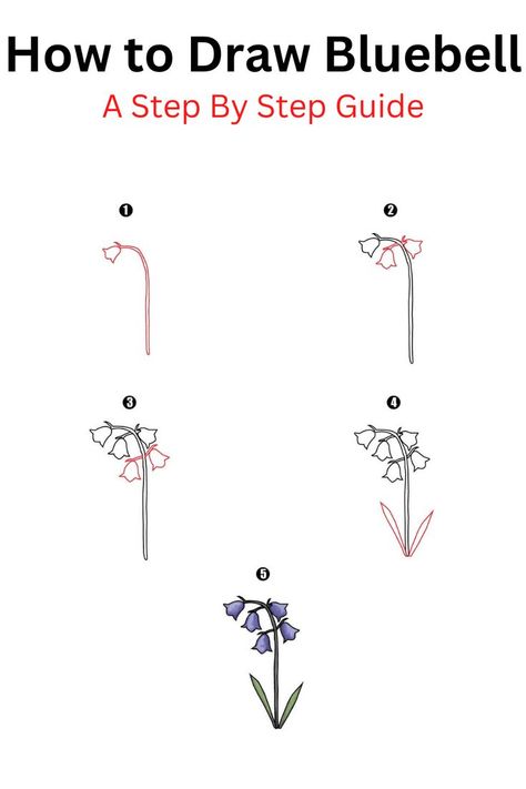 How to Draw Bluebell Bluebell Drawing, Bluebell Tattoo, Trin For Trin Tegning, Cool Drawing, Blue Bell Flowers, Flower Drawing Tutorials, Watercolor Bookmarks, Easy Doodle Art, Plant Drawing