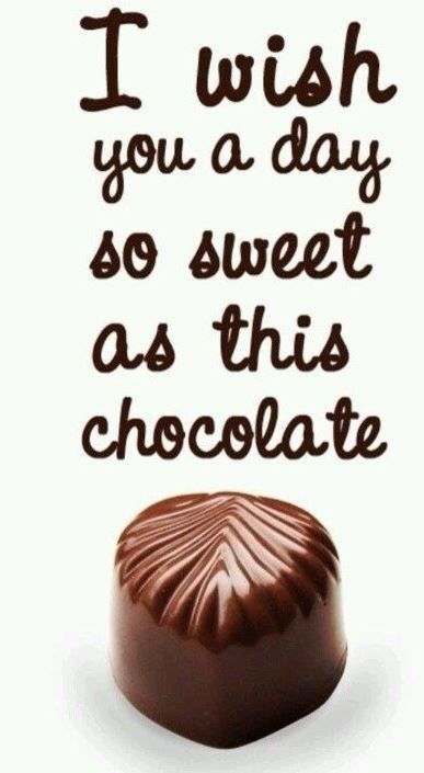 Funny Chocolate Quotes, Chocolate Lovers Quotes, Chocolate Quotes, Chocolate Humor, Baking Quotes, Candy Quotes, Decadent Chocolate Desserts, Chocolate Dreams, Chocolate Day