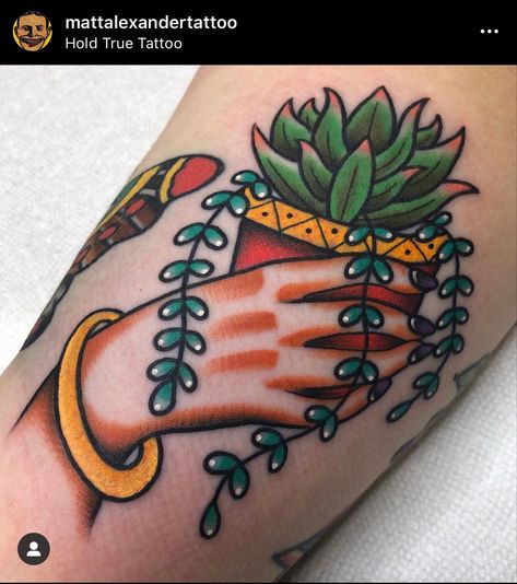 Succulent tattoo. American traditional tattoo. Half sleeve. Hold True Tattoo American Trad Plant Tattoo, American Traditional Baking Tattoo, American Traditional Succulent Tattoo, Traditional Tattoo Half Sleeve, American Traditional Half Sleeve, Traditional Succulent Tattoo, Traditional Ankle Tattoo, Plant Lady Tattoo, Traditional Tattoo Nature