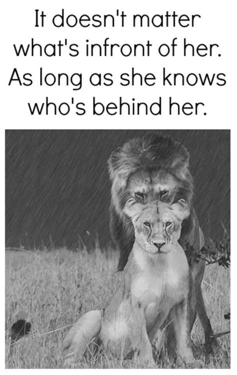 I know for sure you are always behind me and most of the time In front of me, you always protect me. I love you k Single Travel, It Doesn't Matter, It Doesnt Matter, She Knows, Greek Quotes, Know Who You Are, Doesn't Matter, Animal Quotes, Love Images